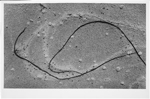 Image description is not available for 2024.063